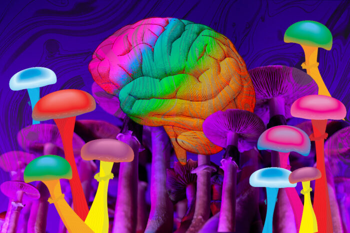 A rainbow-colored brain rising above a field of brightly colored mushrooms on a swirling purple background