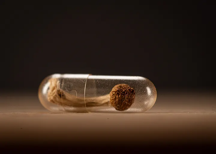 A dried psilocybin mushroom sealed inside a clear gelatin capsule resting on a wooden surface